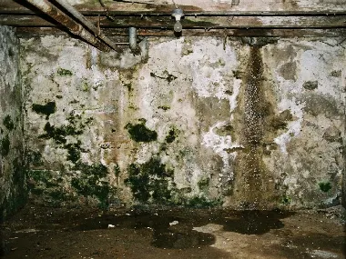 Mur de cave suintant