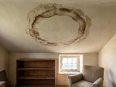 Cerne au plafond du dernier étage